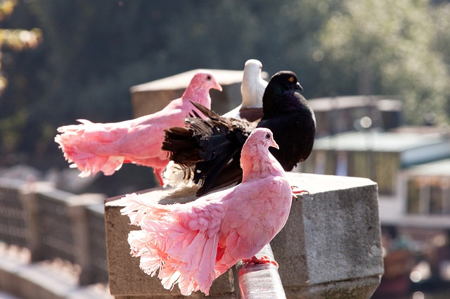 他队员的战 他队员的战