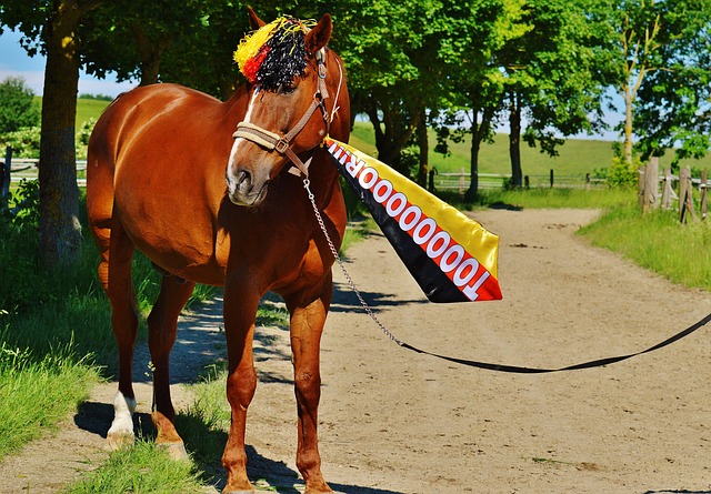 瑞士羽球公开赛｜首圈遇石宇奇 李佳豪能否复仇.