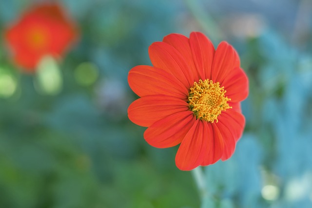 在拥有绝美 在拥有绝美