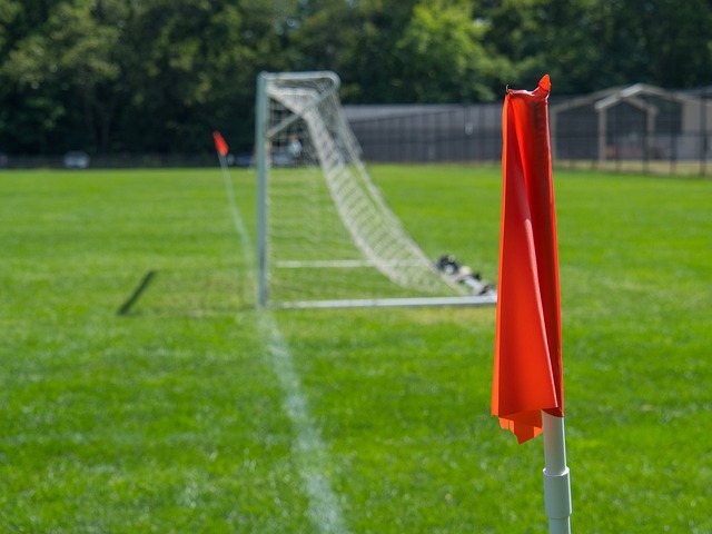 惊艳的冰雪 惊艳的冰雪