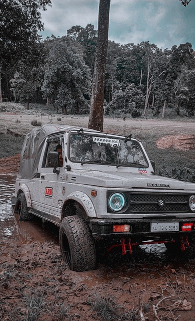 身体素质和 身体素质和