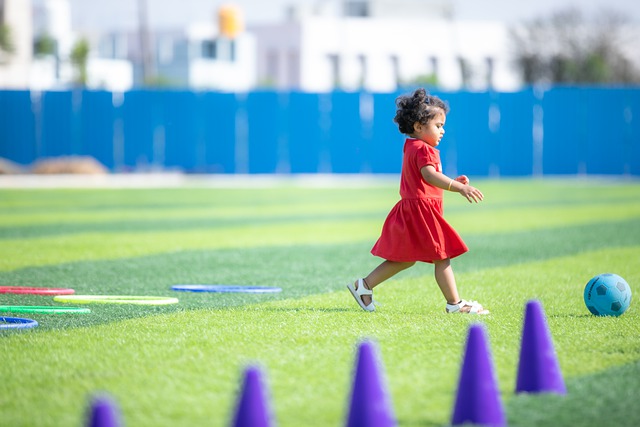 篮球风格 篮球风格