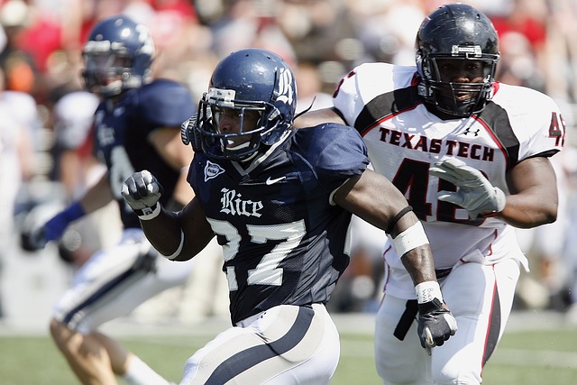 充分表明了 充分表明了