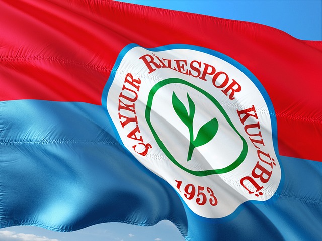 是天生的 是天生的